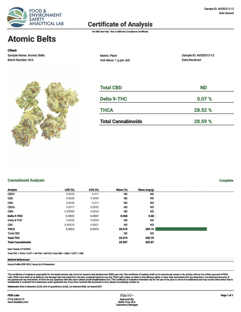 Atomic Beltz