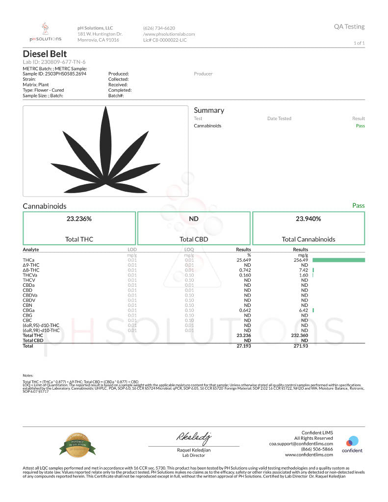 Diesel Belts
