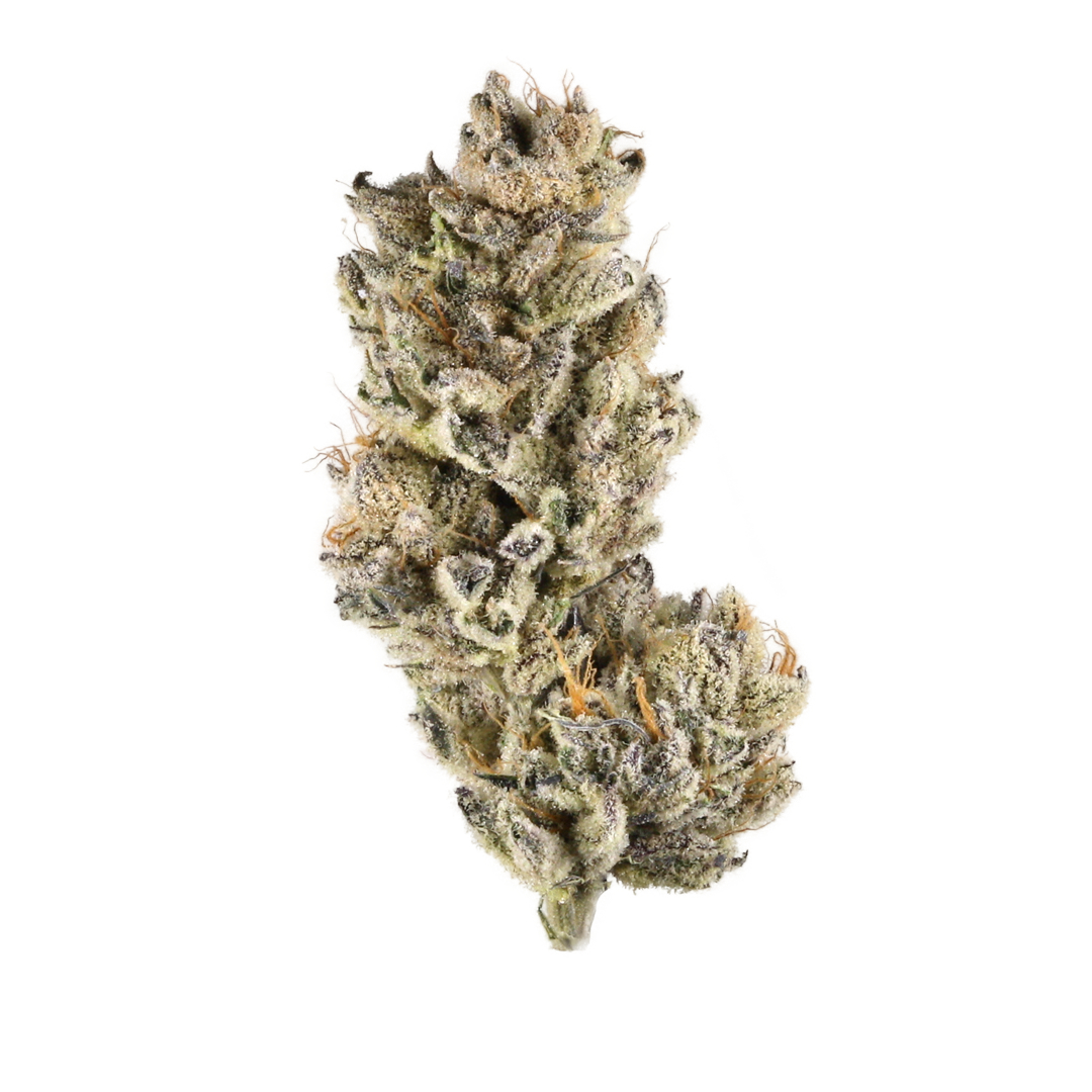 GSC