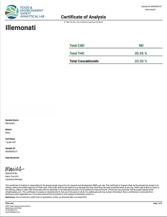 Illeminati