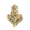 Lemon Cherry Gelato