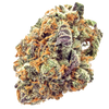 Mimosa