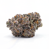 Bubblegum Gelato