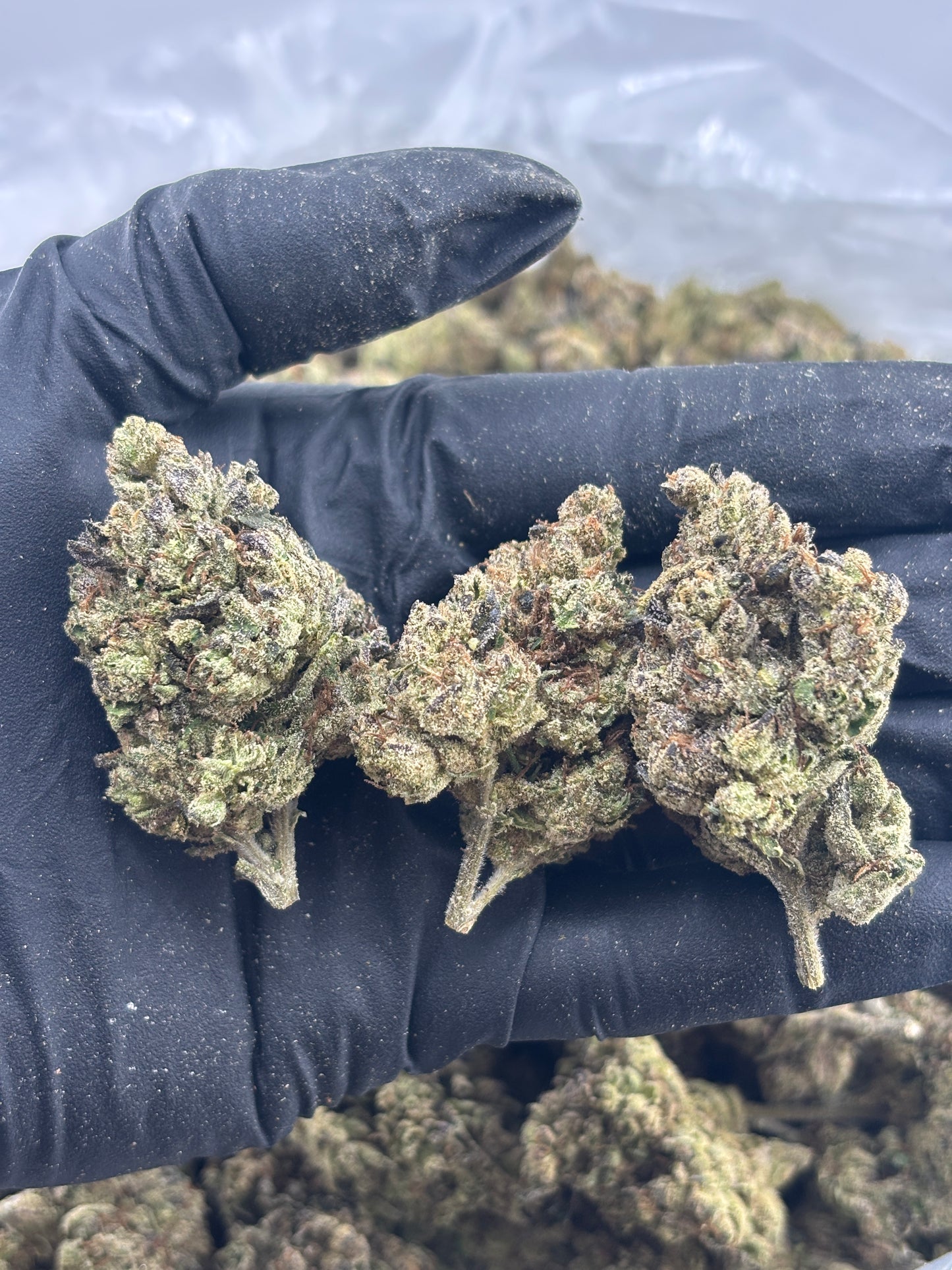 Peanut Butter Breath