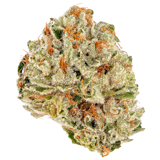 Black Truffle