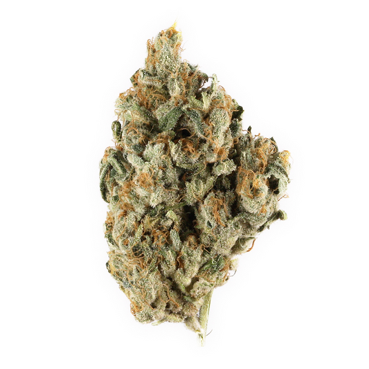 Blackberry Headband