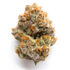 Gelato