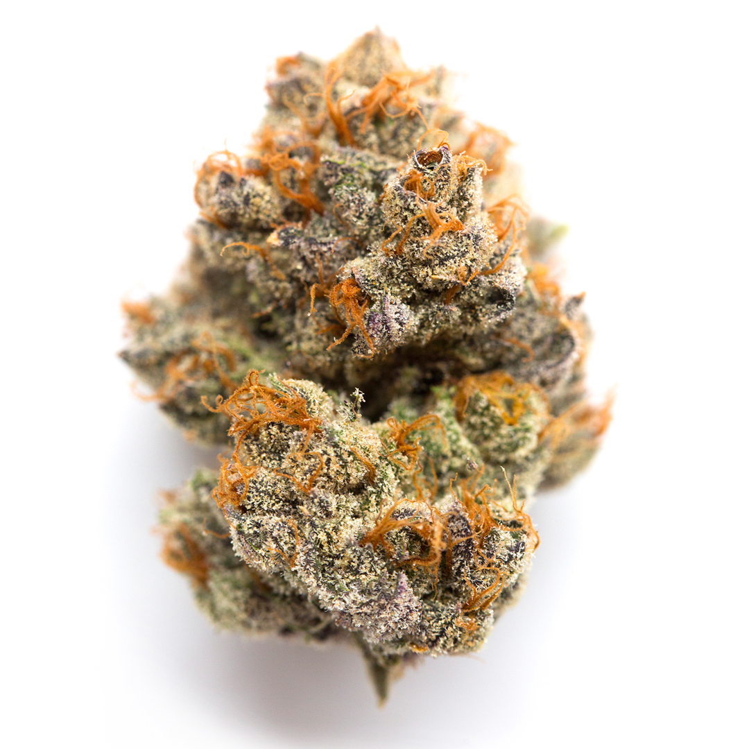 Gelato