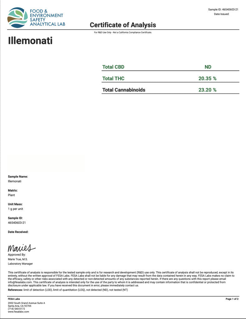 Illeminati