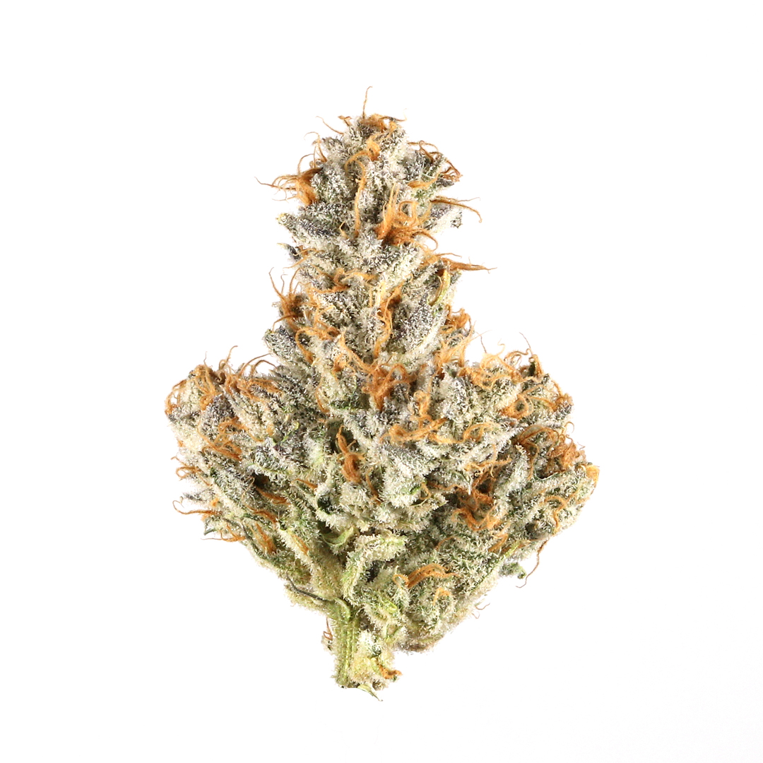 Lemon Cherry Gelato