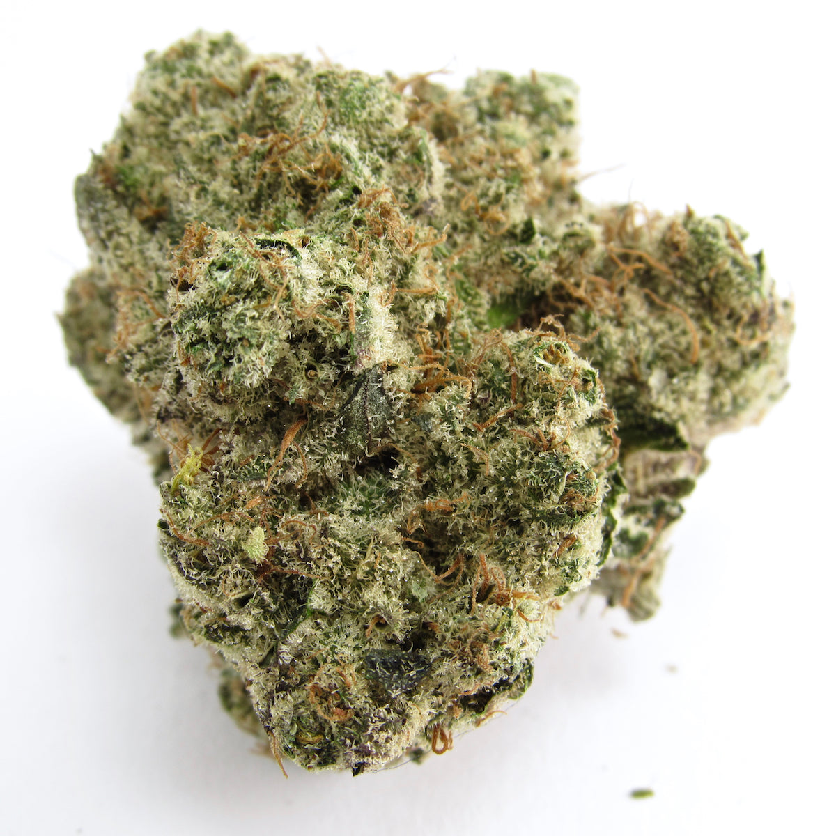 Maui Waui