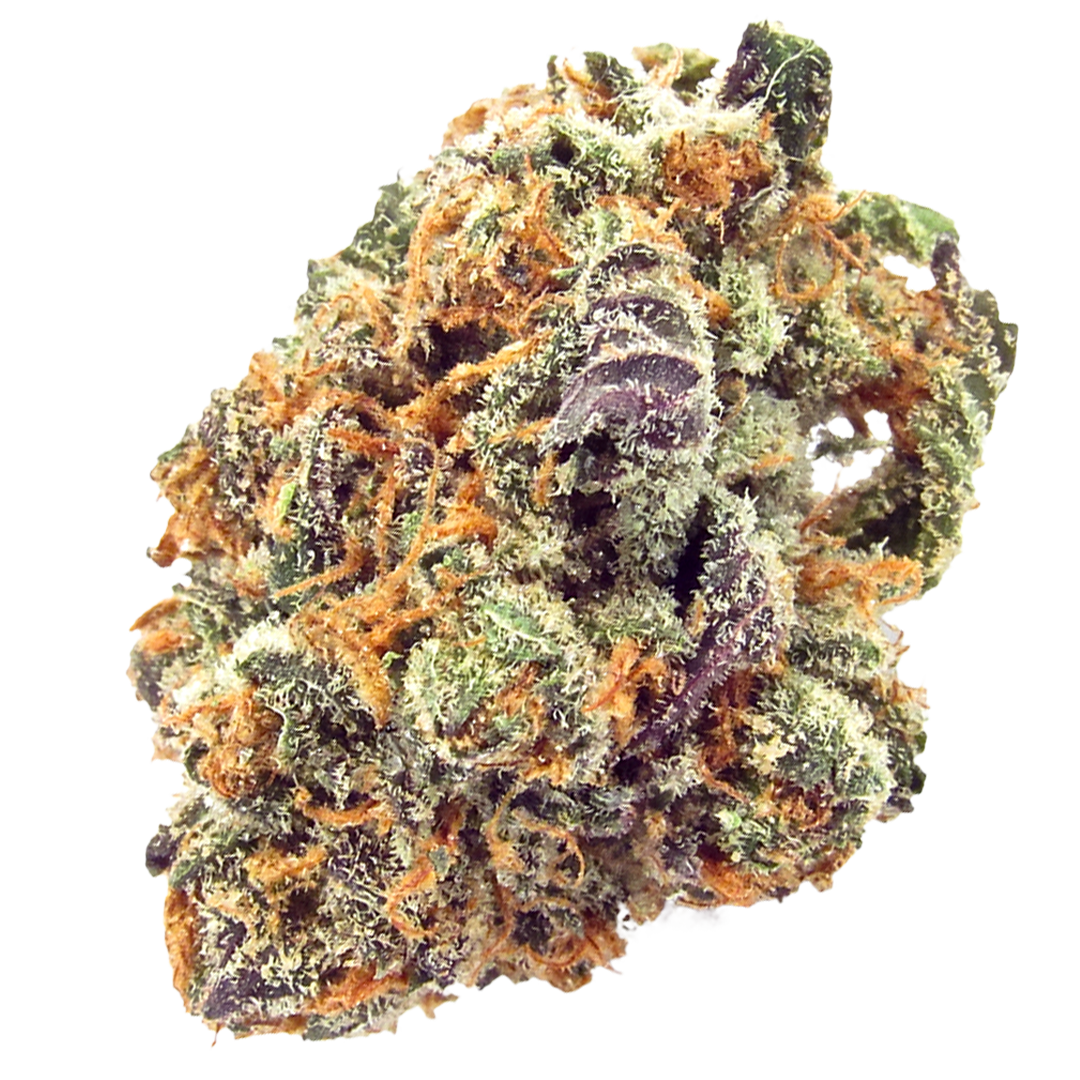 Mimosa