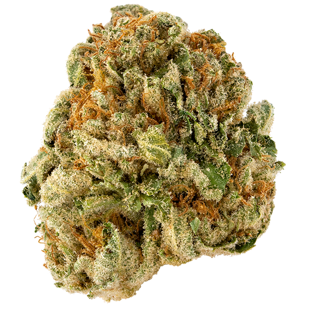 Mule Fuel