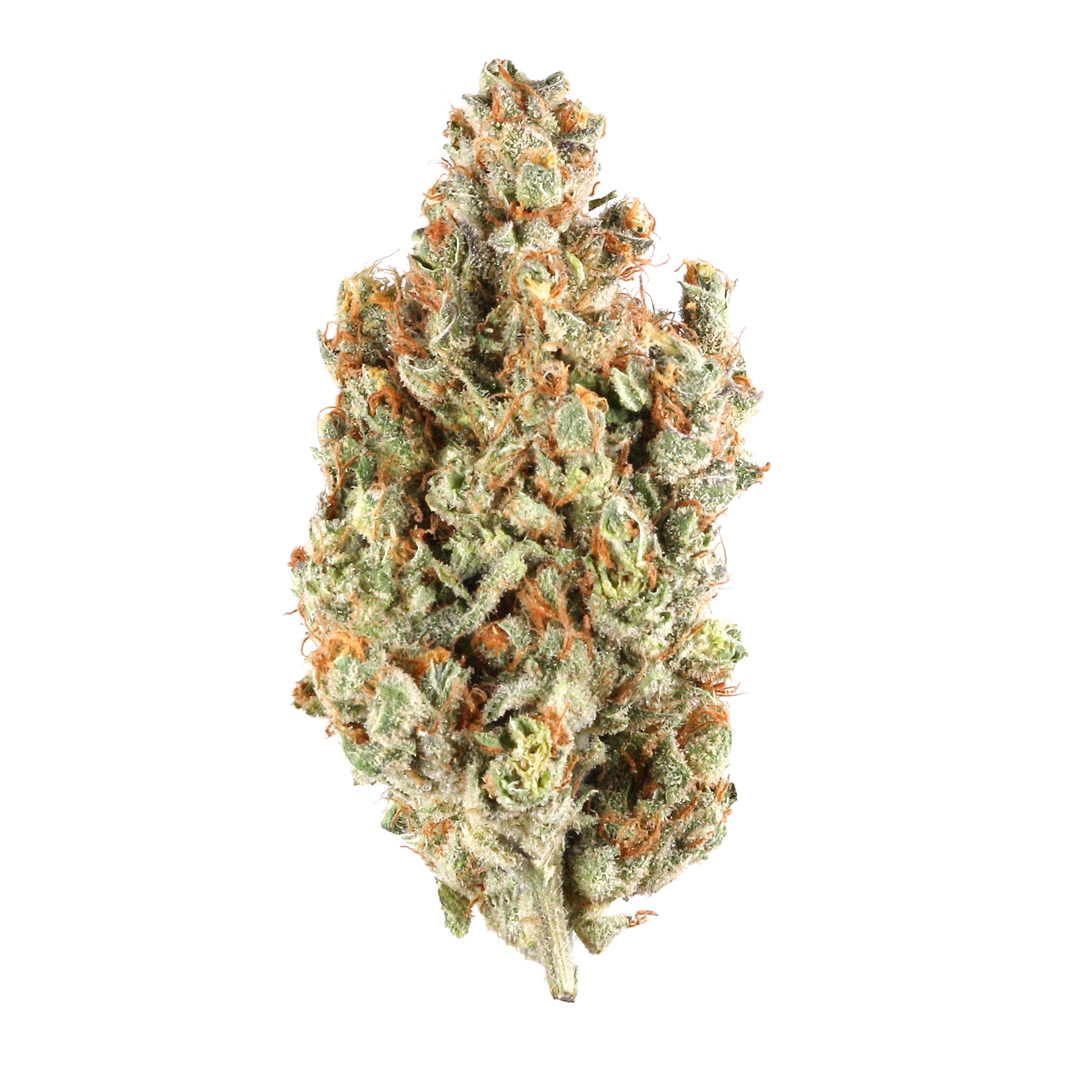 NYC Diesel