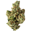 SFV OG