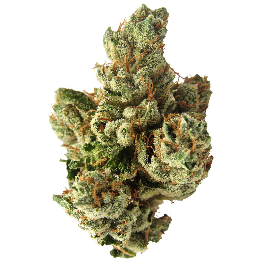 SFV OG