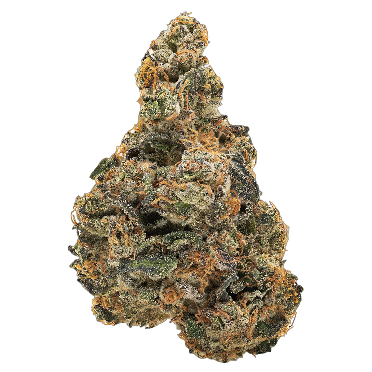 West Coast Wonder